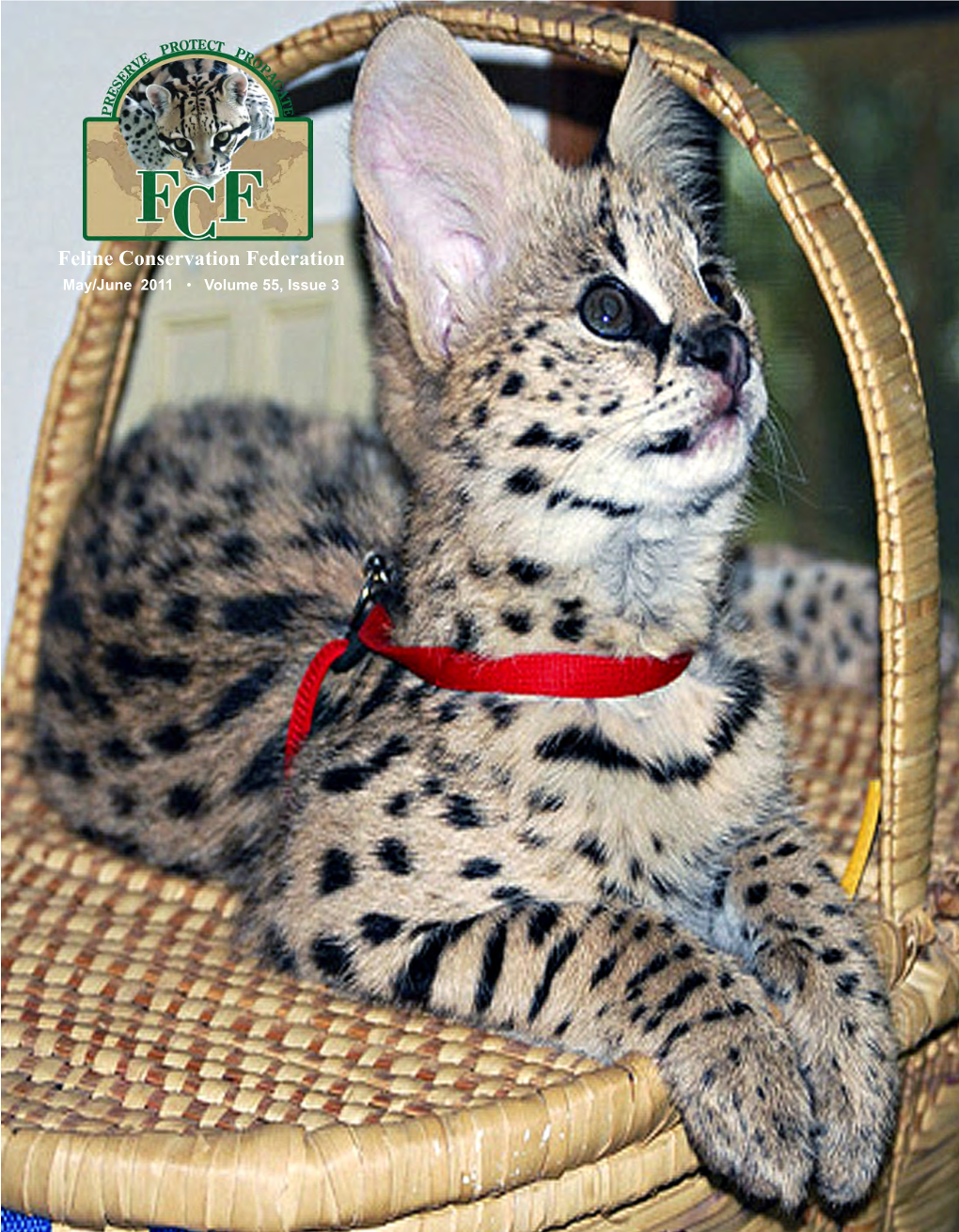 Feline Conservation Federation May/June 2011 • Volume 55, Issue 3 T ABLE Ofcontents Features MAY/JUNE 2011 | VOLUME 55, ISSUE 3