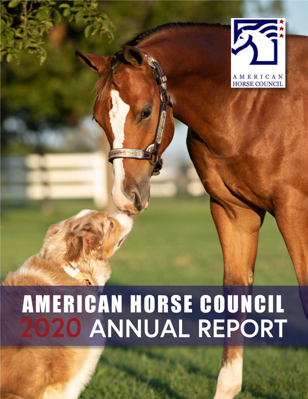 2020 ANNUAL REPORT PRESIDENT’S LETTER It Continues to Be a Wonderful Privilege to Serve This Great Organization and the Equine Industry