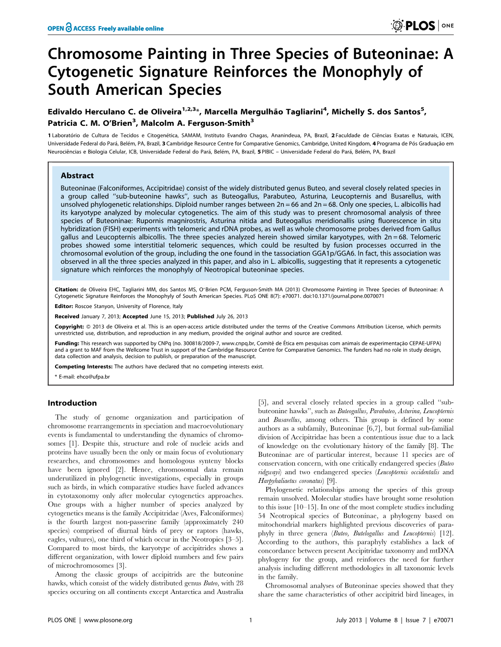 Chromosome Painting in Three Species of Buteoninae: a Cytogenetic Signature Reinforces the Monophyly of South American Species