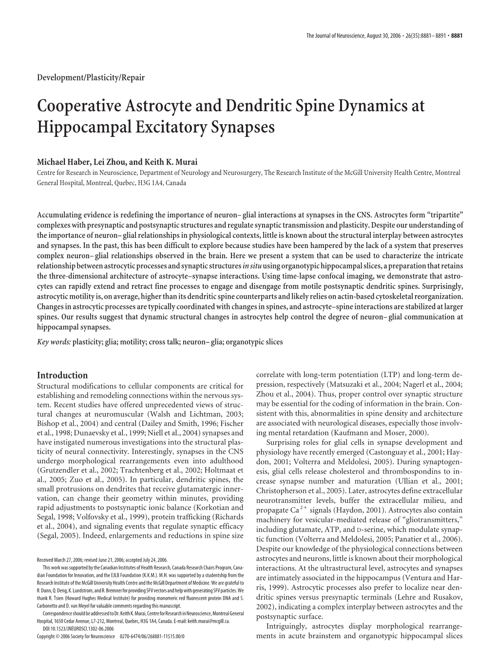 Cooperative Astrocyte and Dendritic Spine Dynamics at Hippocampal Excitatory Synapses