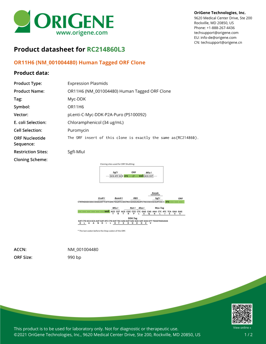 OR11H6 (NM 001004480) Human Tagged ORF Clone Product Data