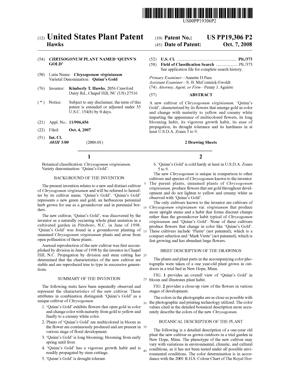 (12) United States Plant Patent (10) Patent N0.: US PP19,306 P2 Hawks (45) Date of Patent: Oct