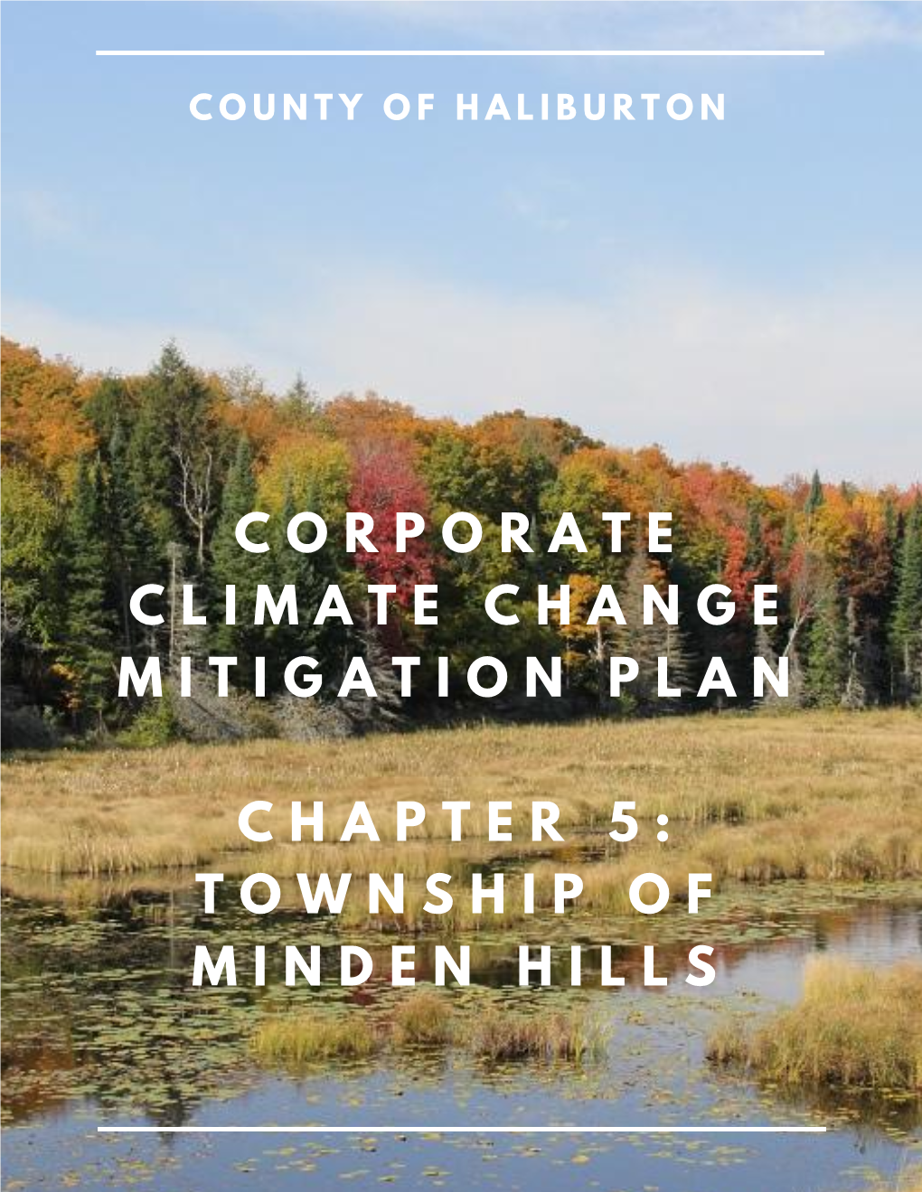 Chapter 5 Township of Minden Hills