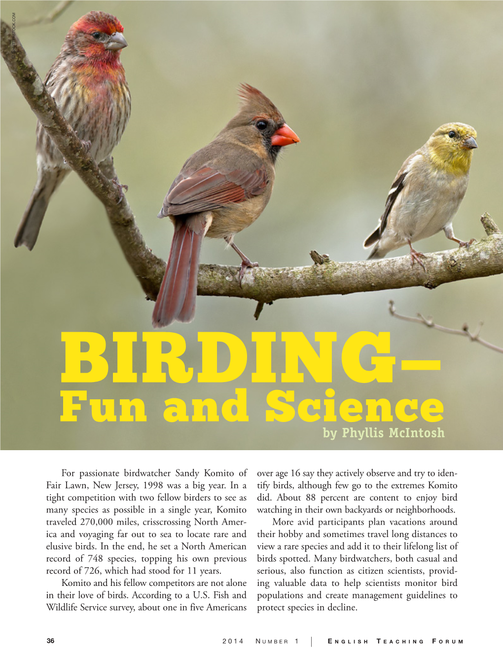 BIRDING— Fun and Science by Phyllis Mcintosh