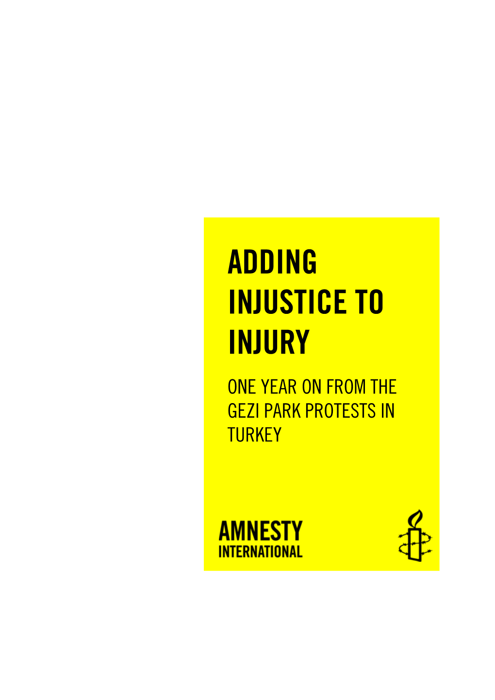 Adding Injustice to Injury One Year on from the Gezi Park Protests in Turkey