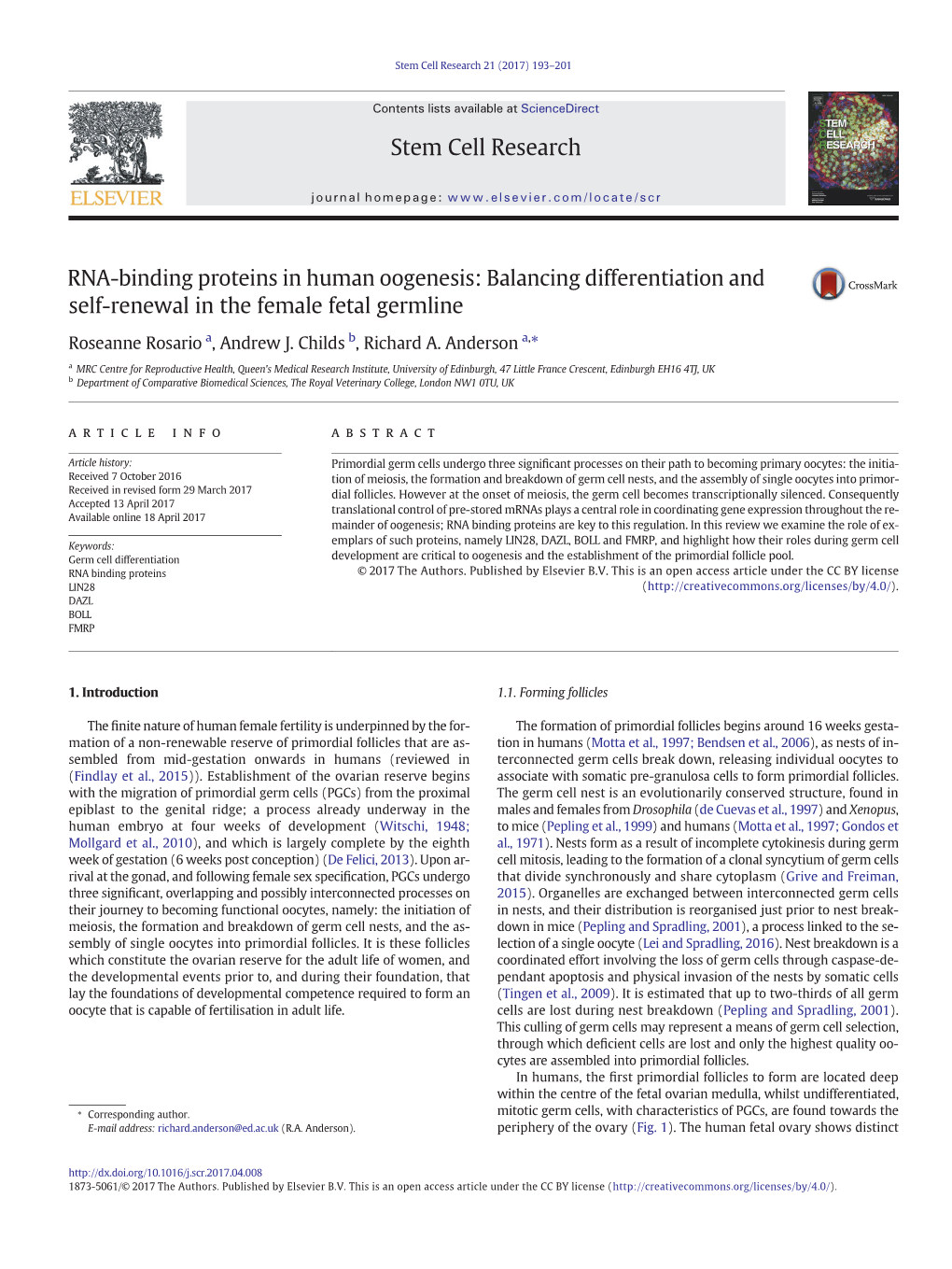 RNA-Binding Proteins in Human Oogenesis: Balancing Differentiation and Self-Renewal in the Female Fetal Germline