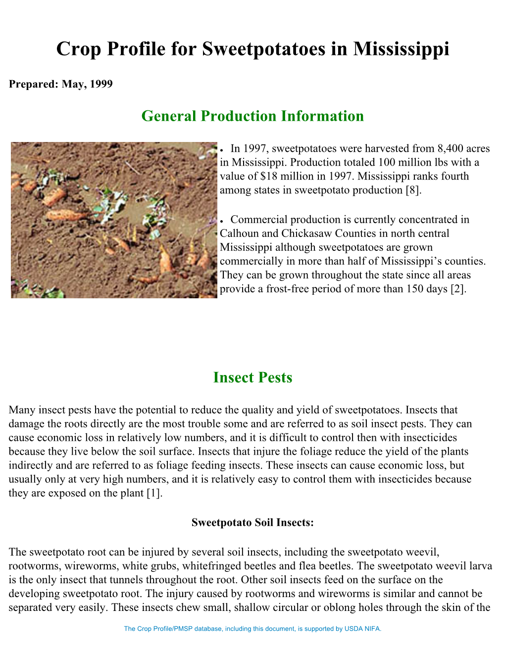 Insect Pests