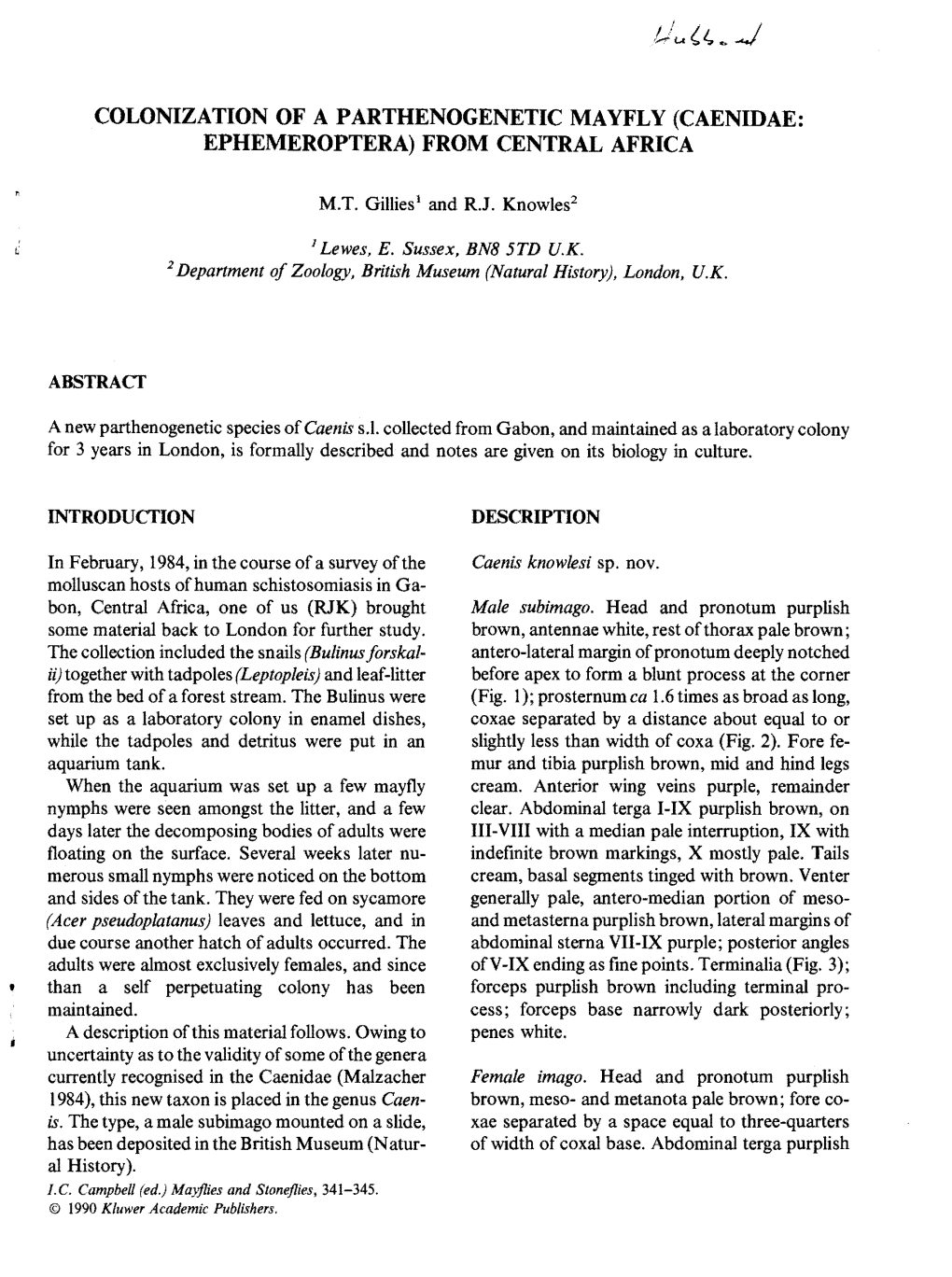 Colonization of a Parthenogenetic Mayfly (Caenidae: Ephemeroptera) from Central Africa