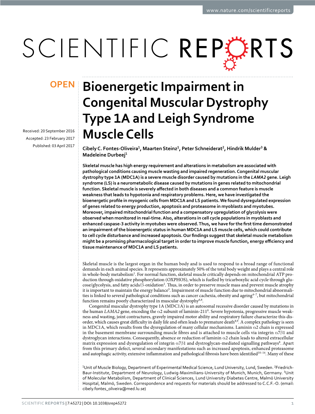 Bioenergetic Impairment in Congenital Muscular Dystrophy Type 1A And