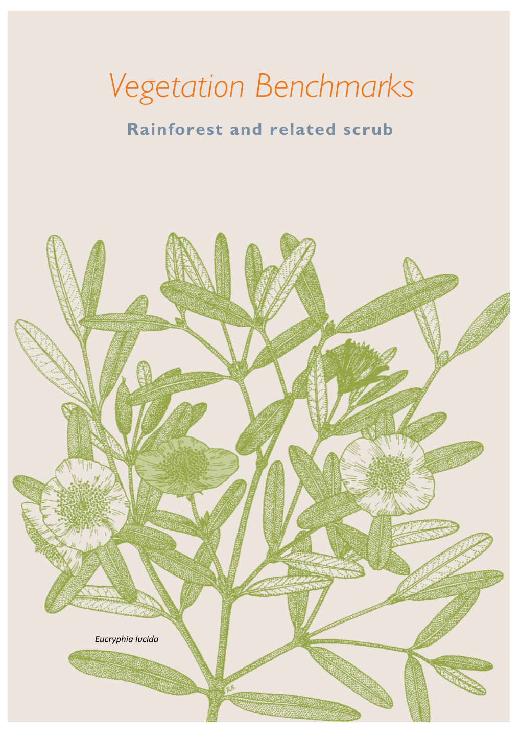 Vegetation Benchmarks Rainforest and Related Scrub