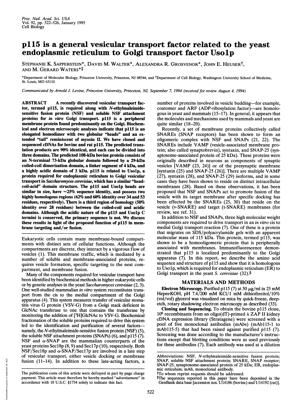 Endoplasmic Reticulum to Golgi Transport Factor Usolp STEPHANIE K