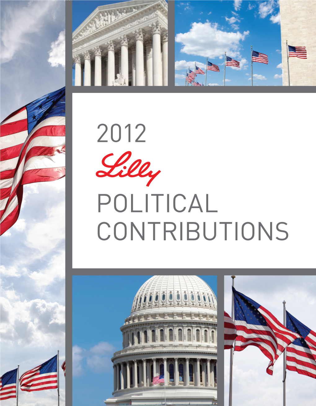 2012 Political Contributions