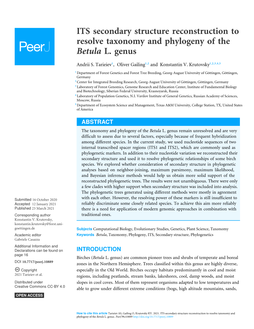 ITS Secondary Structure Reconstruction to Resolve Taxonomy and Phylogeny of the Betula L