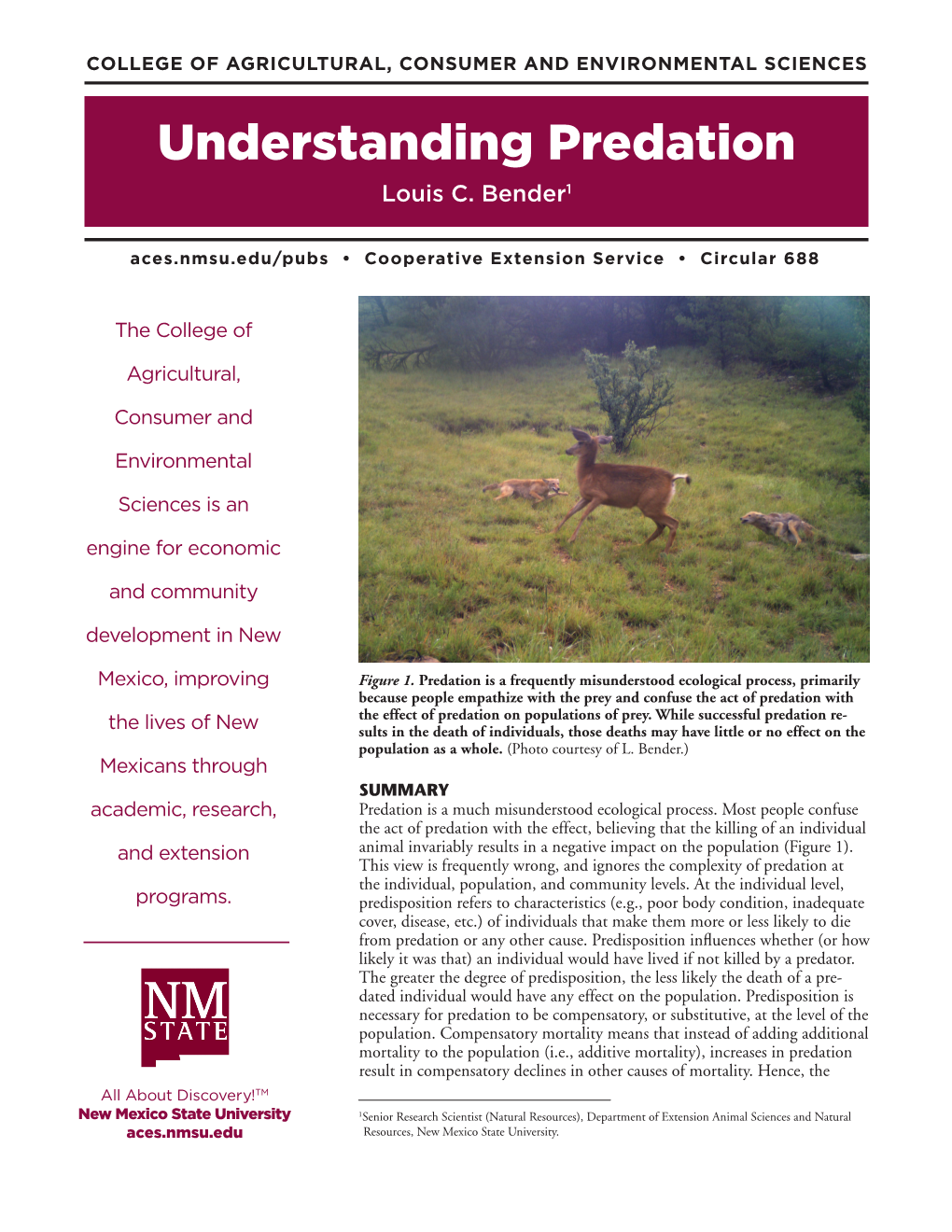 Understanding Predation