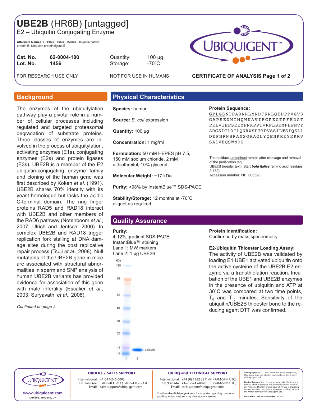 UBE2B (HR6B) [Untagged] E2 – Ubiquitin Conjugating Enzyme