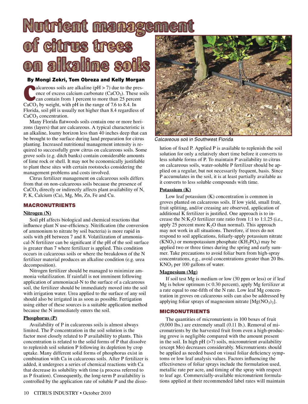 Calcareous Soils Are Alkaline