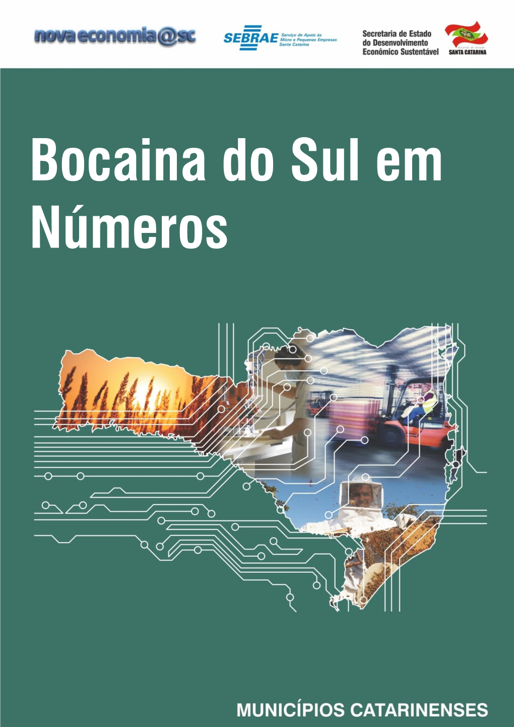 Bocaina Do Sul Em Números