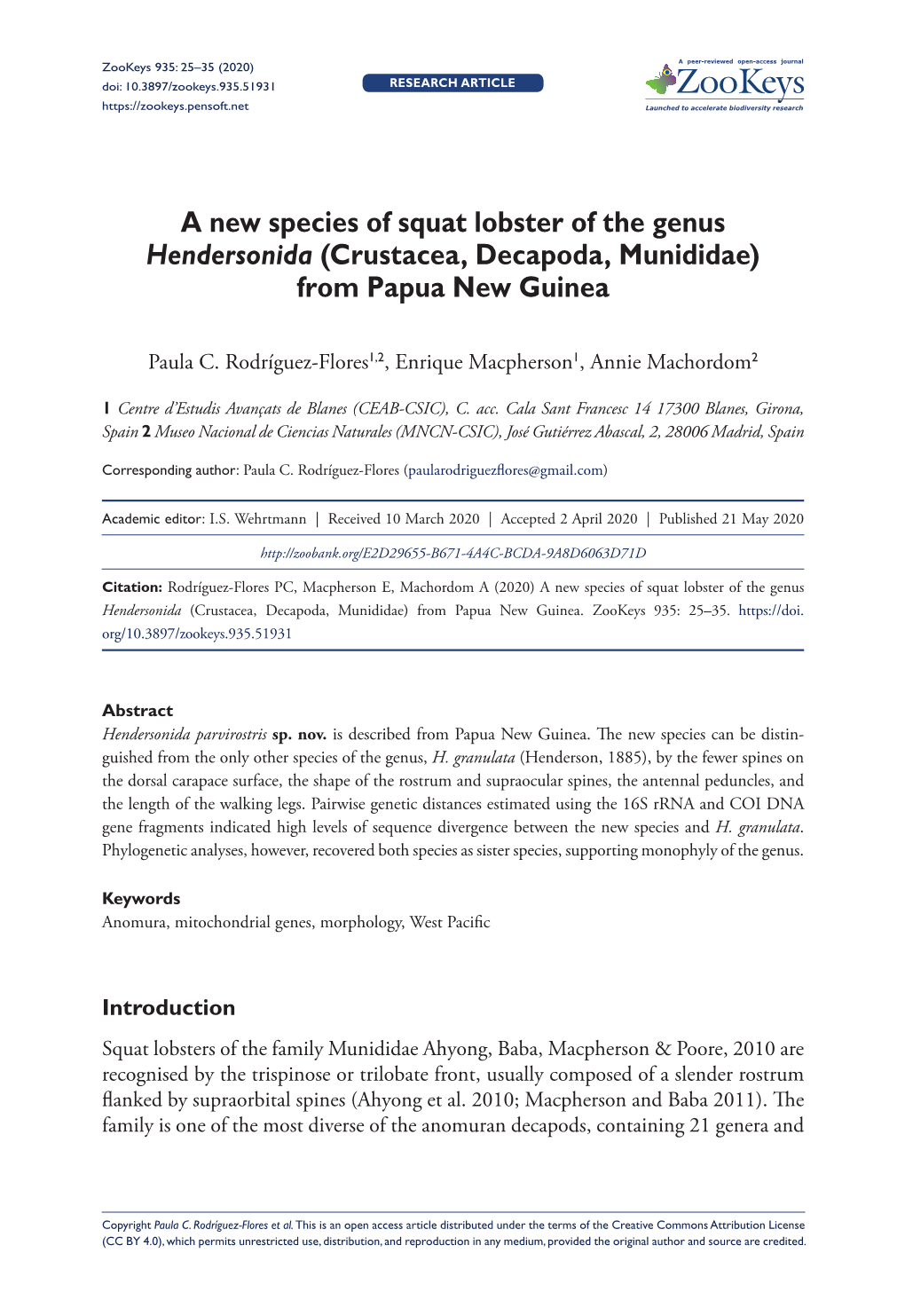 A New Species of Squat Lobster of the Genus Hendersonida (Crustacea, Decapoda, Munididae) from Papua New Guinea