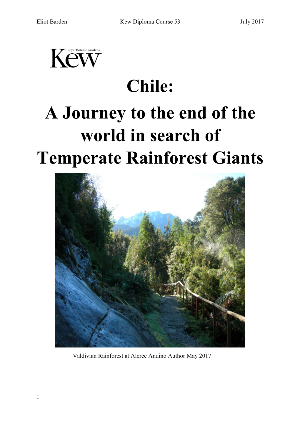 Chile: a Journey to the End of the World in Search of Temperate Rainforest Giants