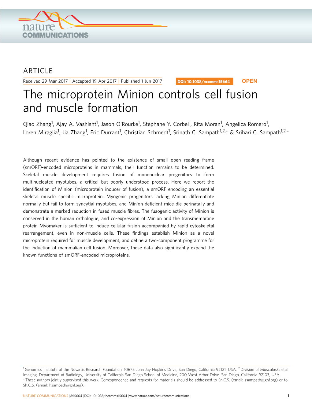 The Microprotein Minion Controls Cell Fusion and Muscle Formation