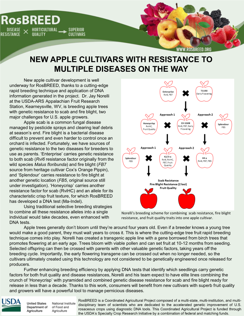 New Apple Cultivars with Resistance to Multiple Diseases on the Way