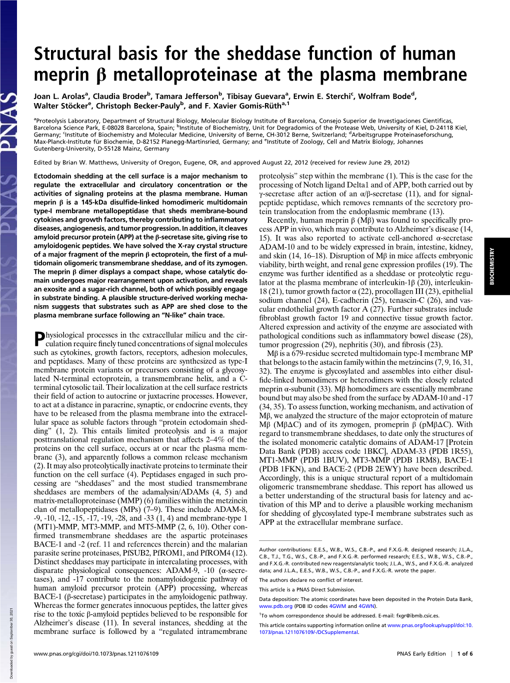 Structural Basis for the Sheddase Function of Human Meprin Β Metalloproteinase at the Plasma Membrane