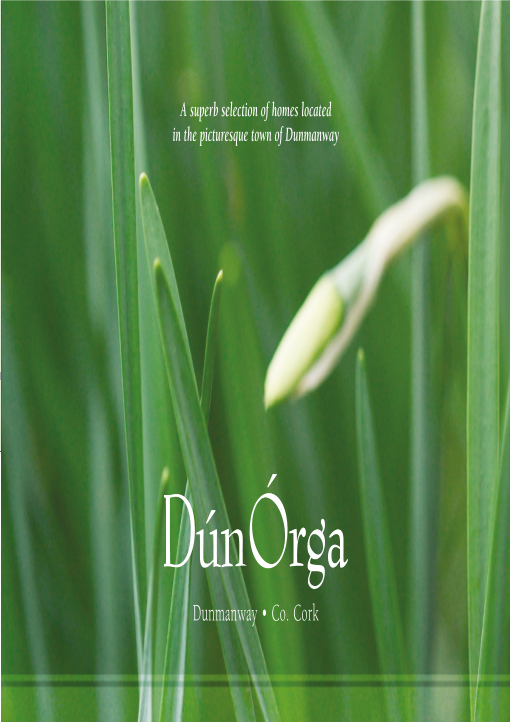 Dunmanway • Co. Cork One of Dunmanway's Greatest Assets Is Its Beautiful Natural Dún Órga Surroundings and Terrain, Typical of the West Cork Region