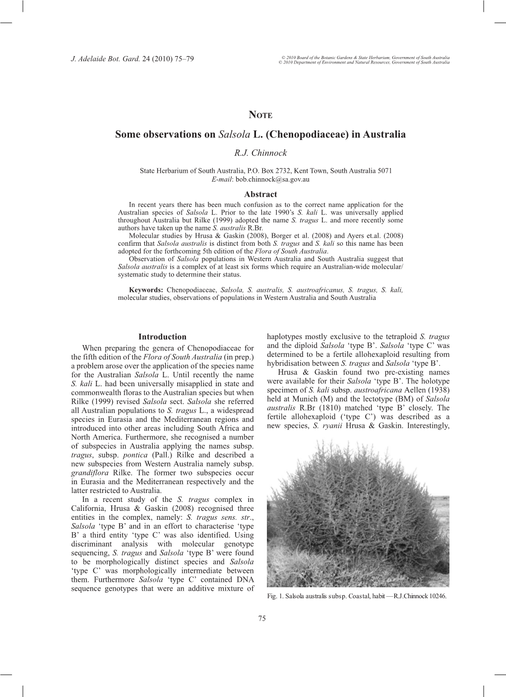 Some Observations on Salsola L. (Chenopodiaceae) in Australia R.J