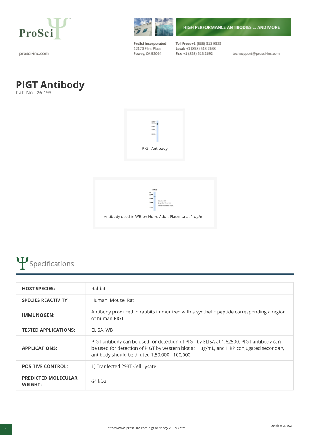 PIGT Antibody Cat