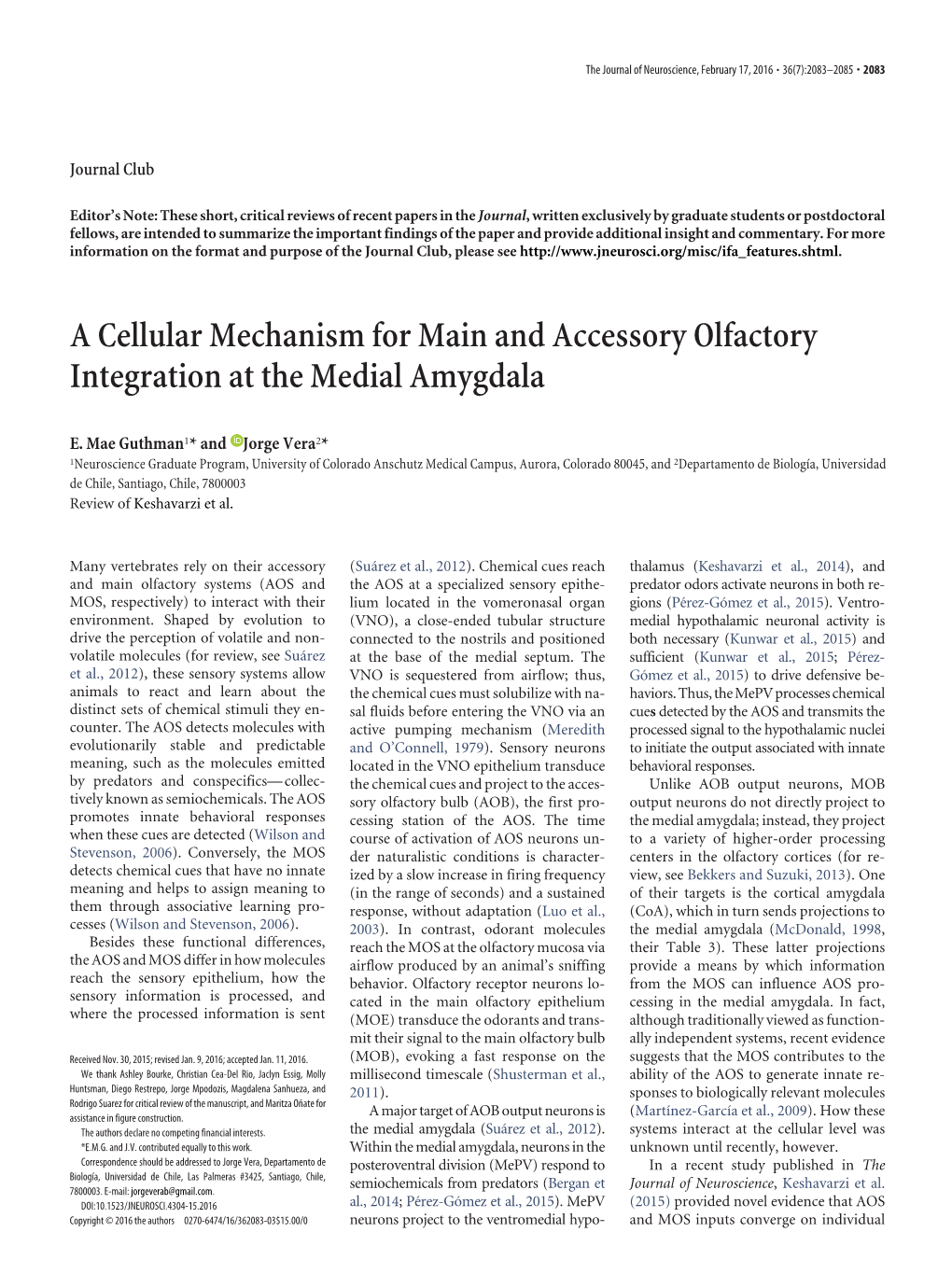 A Cellular Mechanism for Main and Accessory Olfactory Integration at the Medial Amygdala