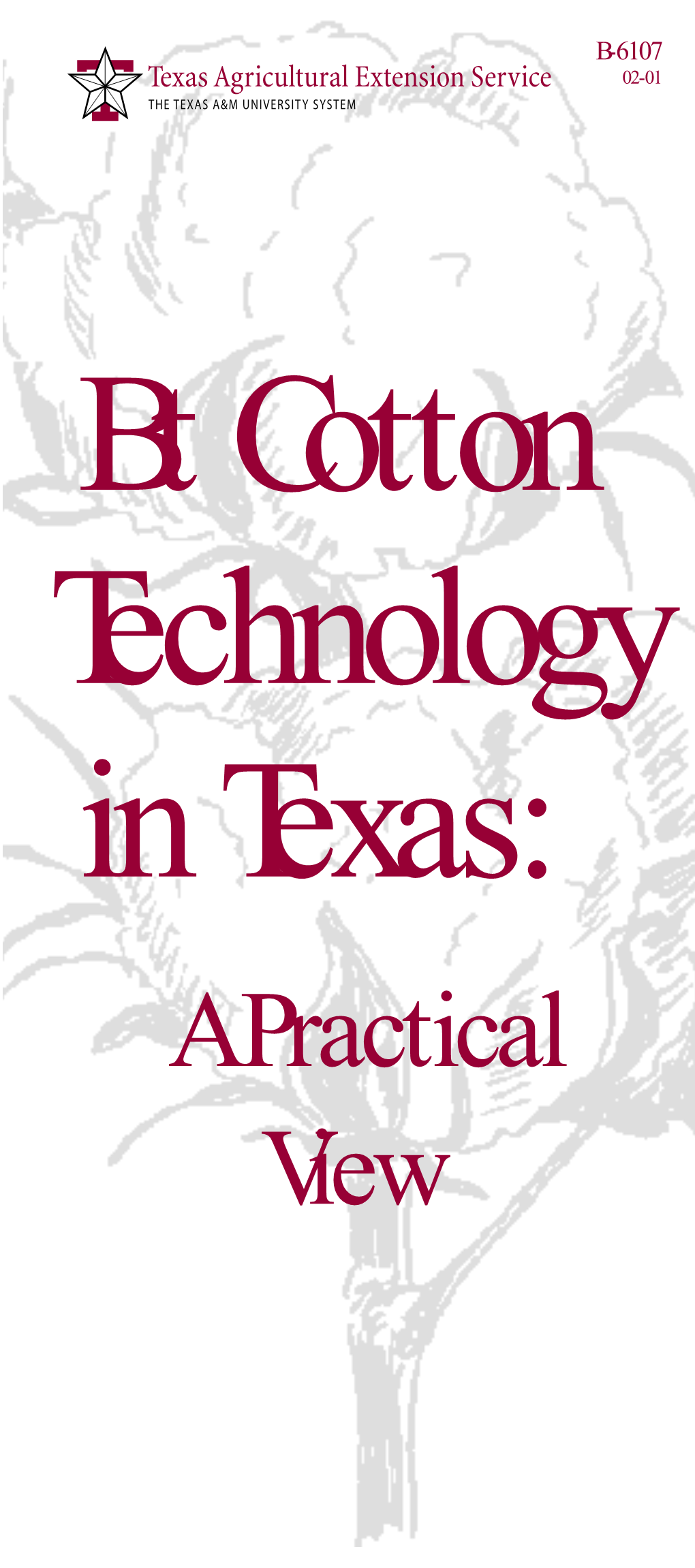 Bt Cotton in Texas