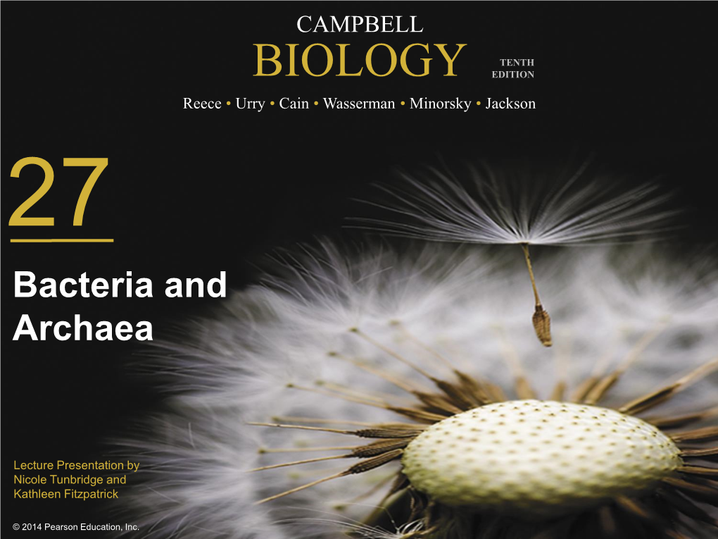 Genetic Recombination Promote Genetic Diversity in Prokaryotes