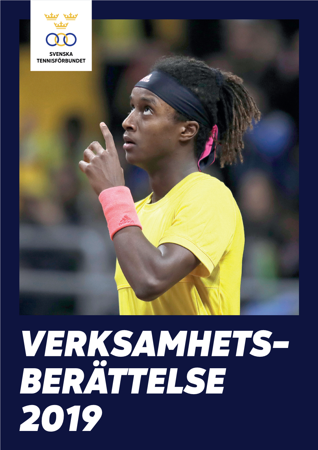 Verksamhetsberattelse-2019-Web.Pdf