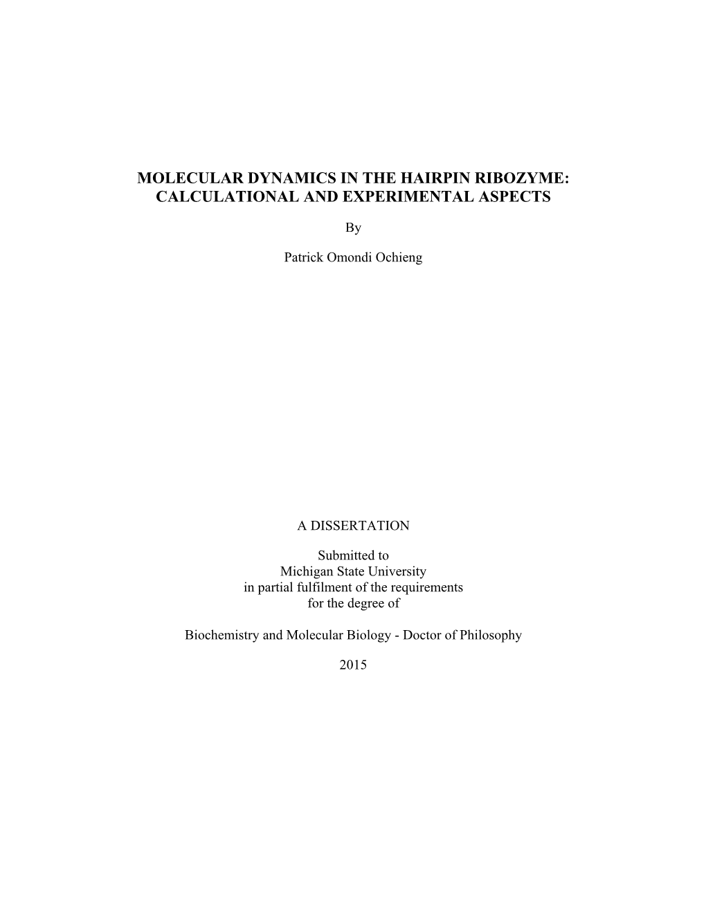 Molecular Dynamics in the Hairpin Ribozyme: Calculational and Experimental Aspects