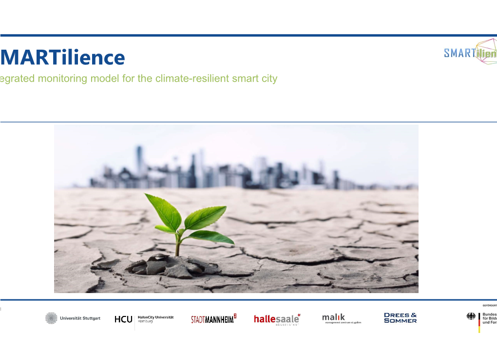 Smartilience Presentation