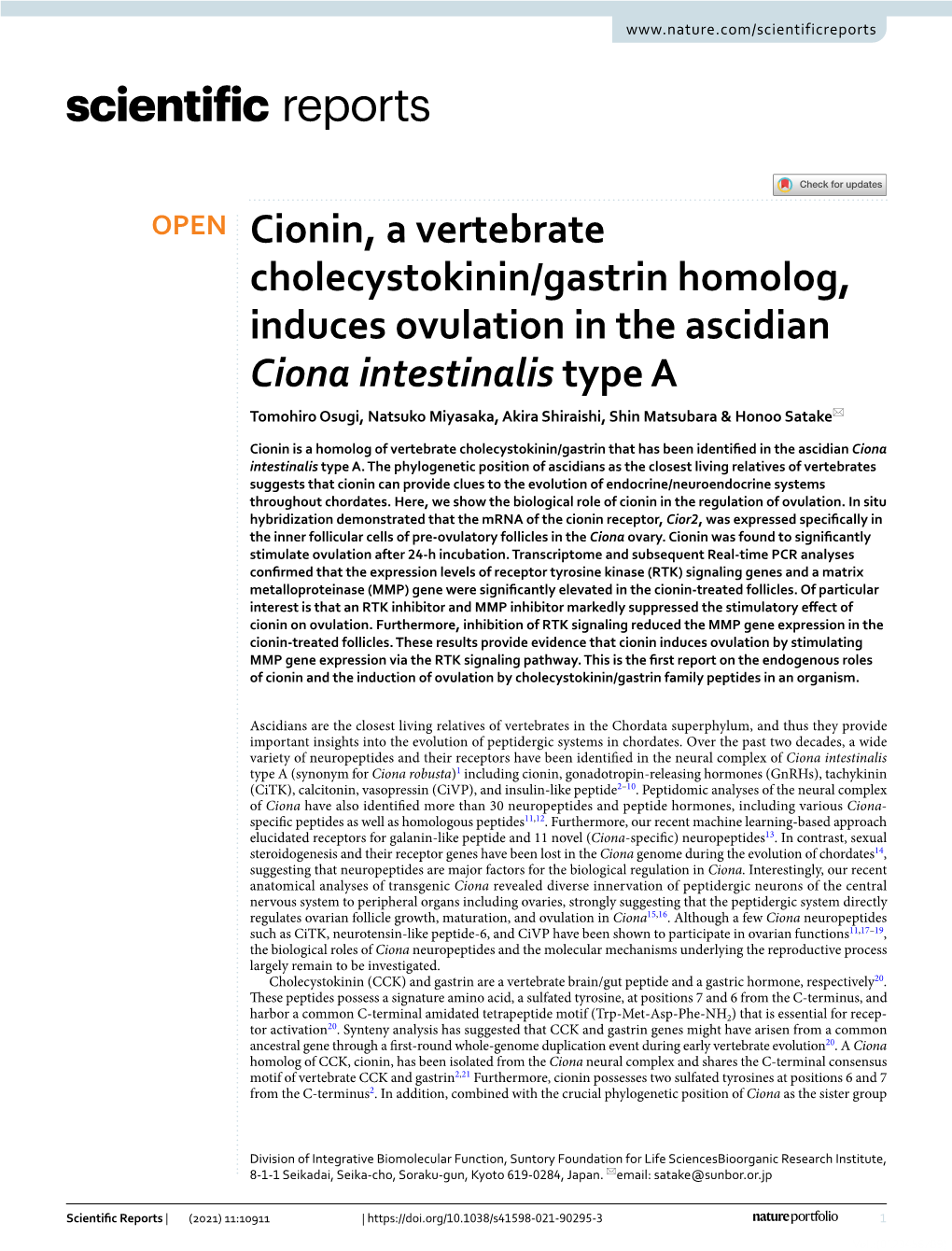 Cionin, a Vertebrate Cholecystokinin/Gastrin