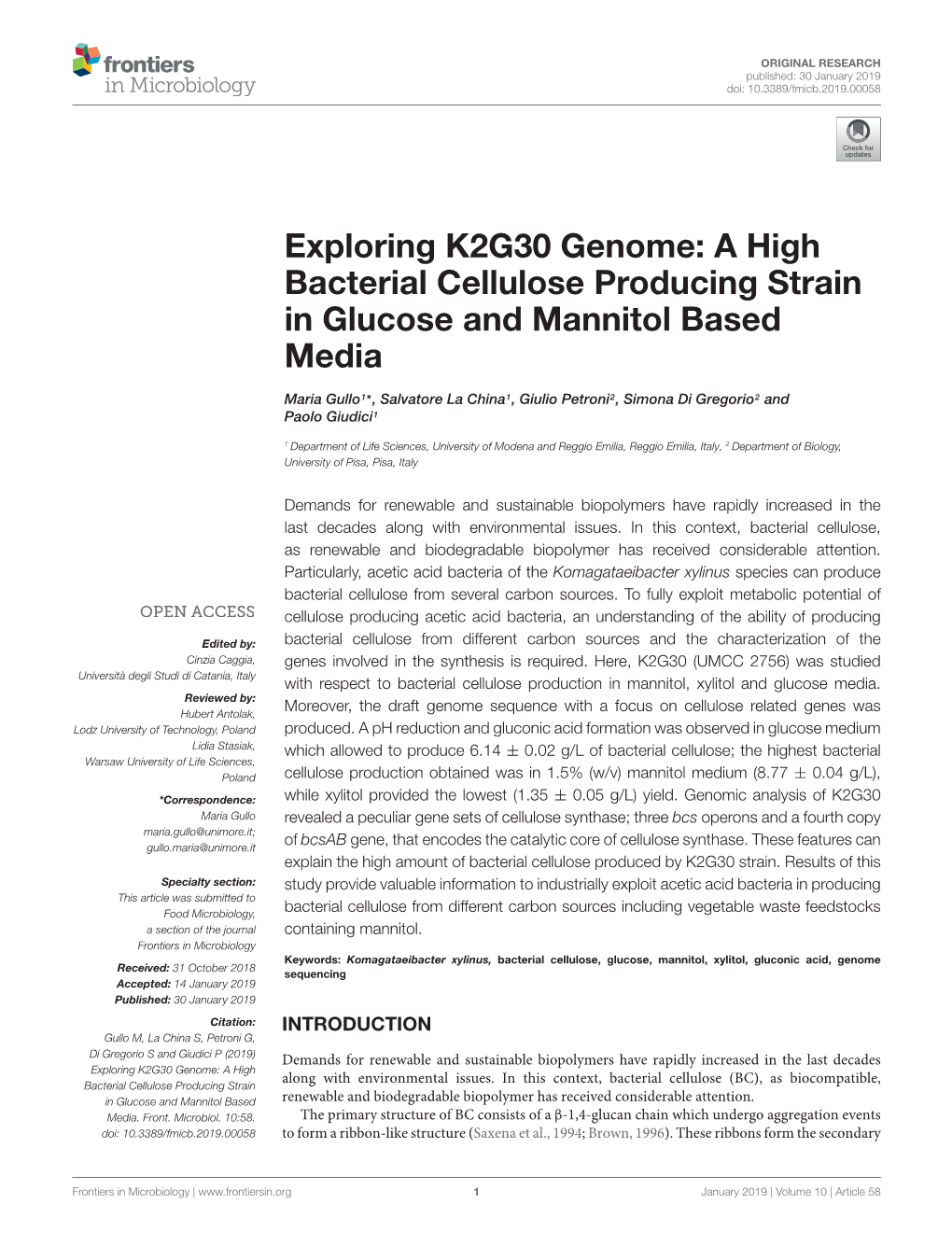 A High Bacterial Cellulose Producing Strain in Glucose and Mannitol Based Media
