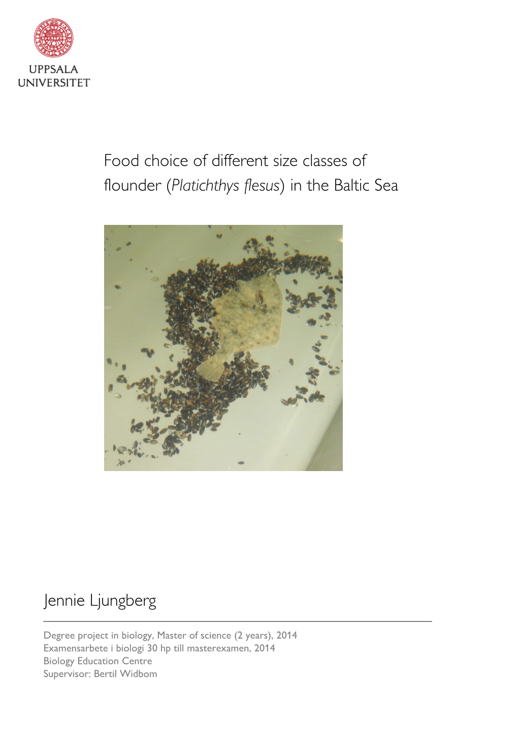 Food Choice of Different Size Classes of Flounder (Platichthys Flesus ) In