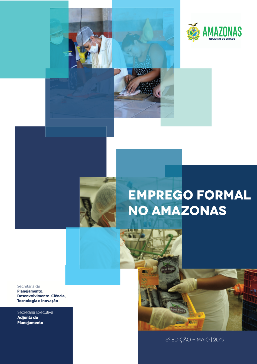 Emprego Formal No Amazonas