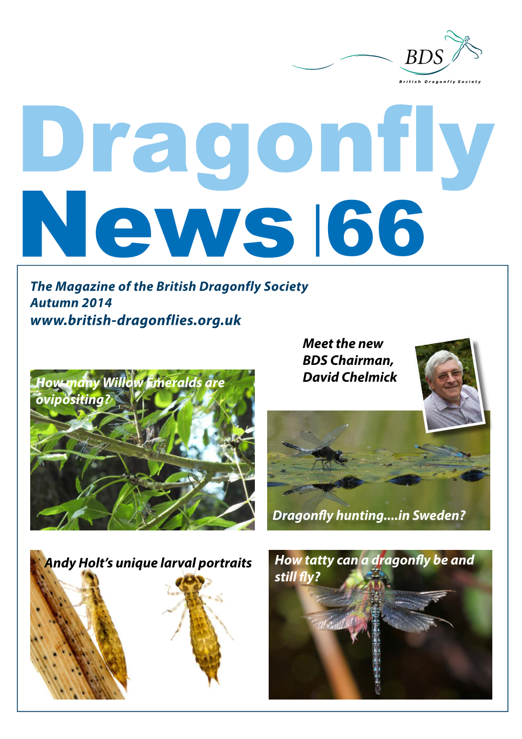 Dragonfly News 66