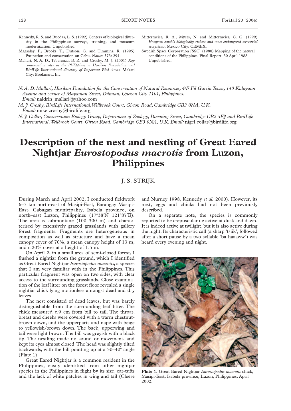 Description of the Nest and Nestling of Great Eared Nightjar Eurostopodus Macrotis from Luzon, Philippines