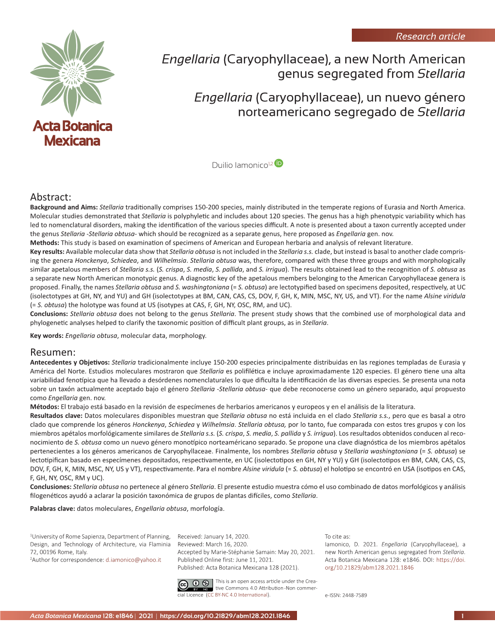 (Caryophyllaceae), a New North American Genus Segregated from Stellaria Engellaria (Caryophyllaceae), Un Nuevo Género Norteamericano Segregado De Stellaria