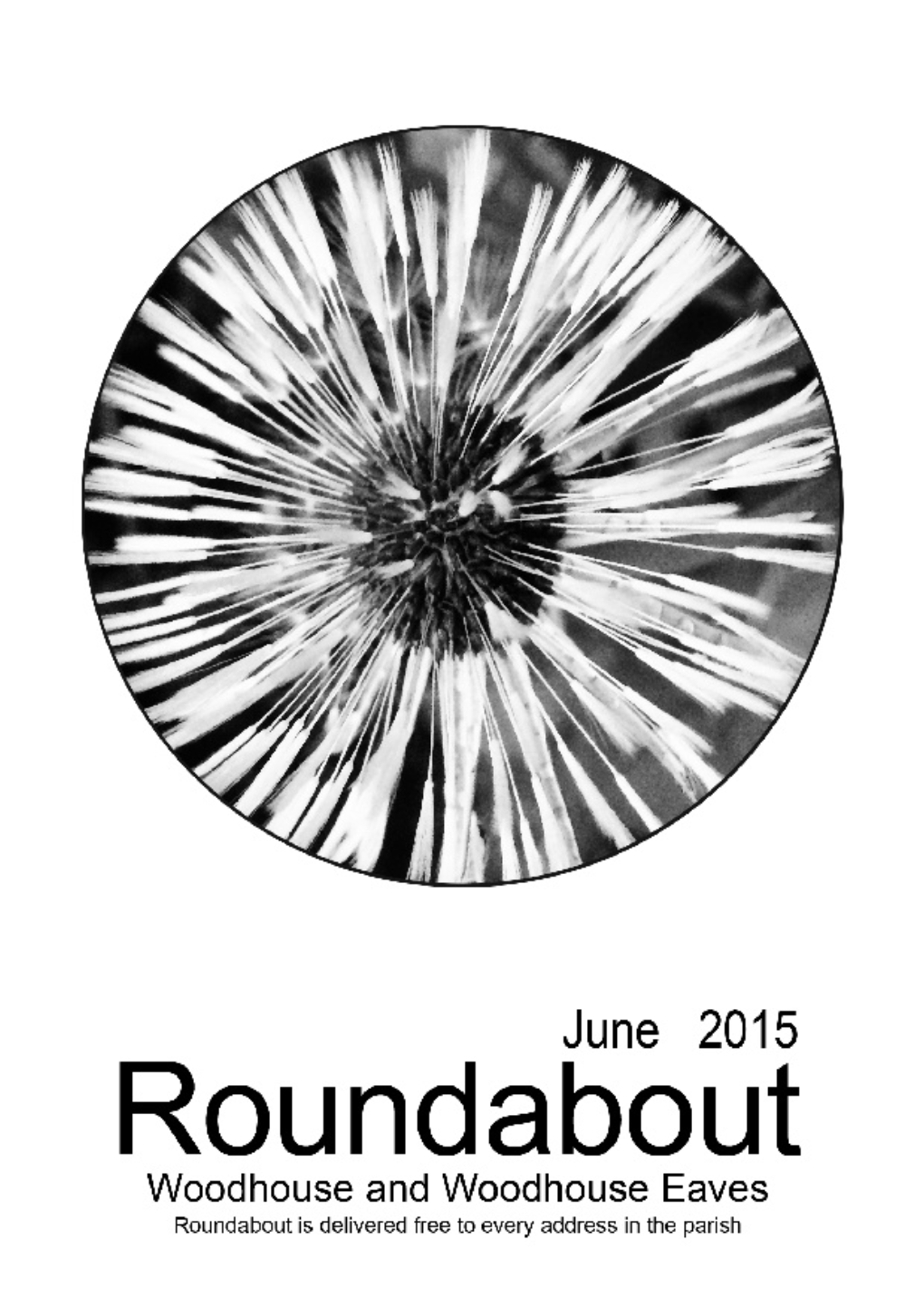 Roundabout 2015 06