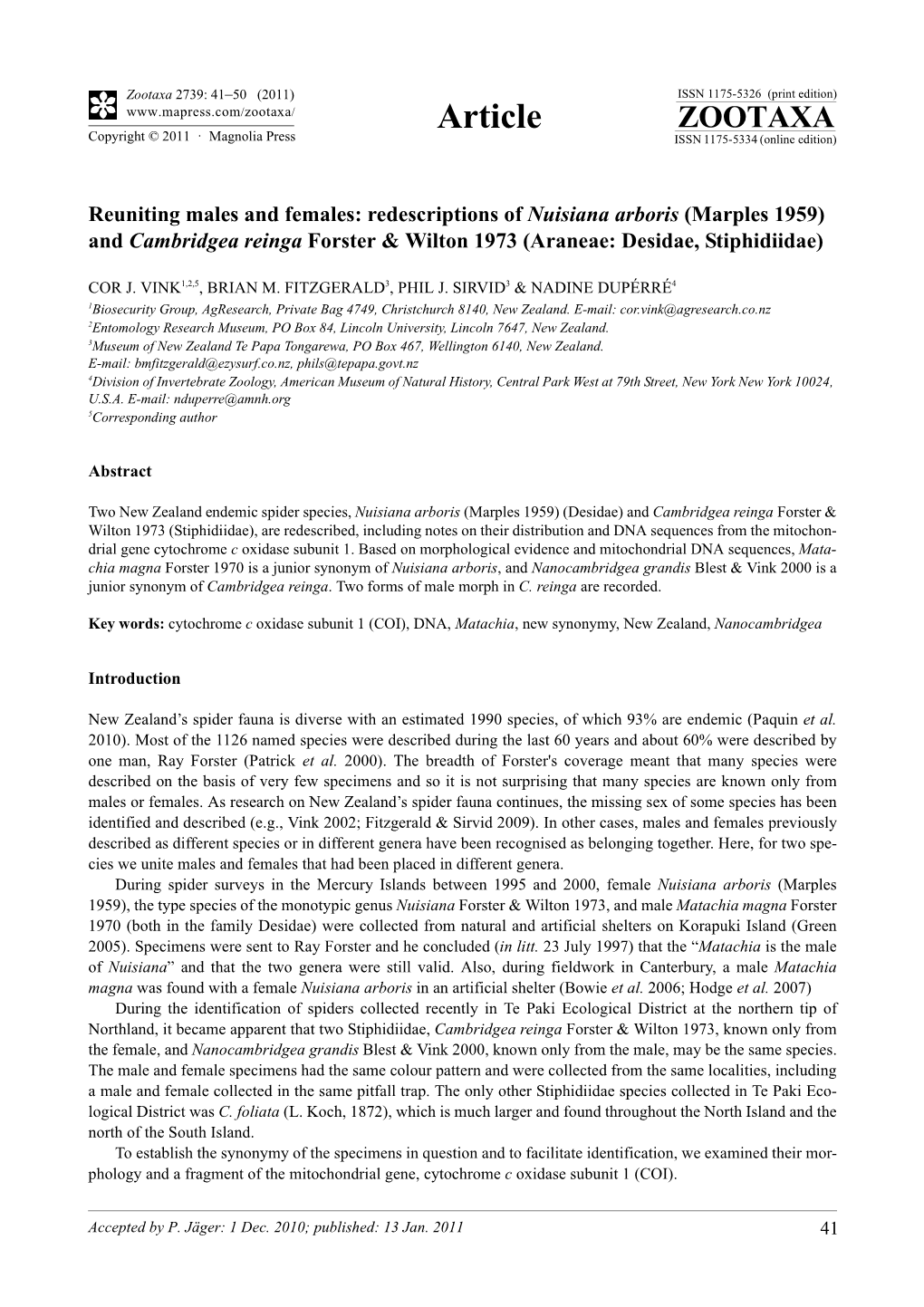 Redescriptions of Nuisiana Arboris (Marples 1959) and Cambridgea Reinga Forster & Wilton 1973 (Araneae: Desidae, Stiphidiidae)