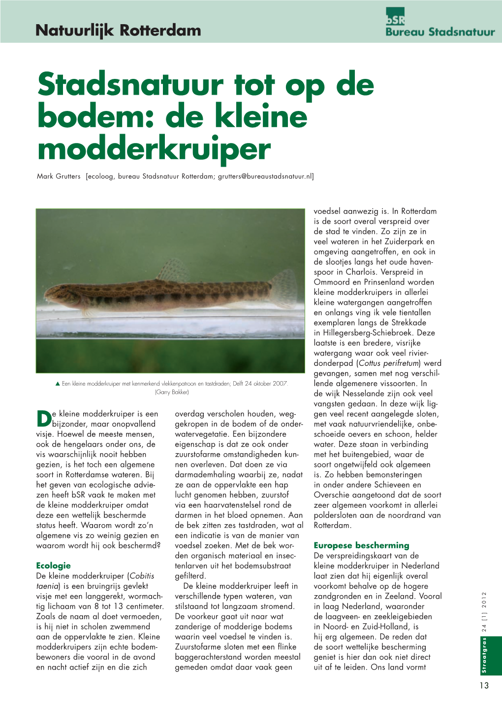 Stadsnatuur Tot Op De Bodem: De Kleine Modderkruiper Mark Grutters [Ecoloog, Bureau Stadsnatuur Rotterdam; Grutters@Bureaustadsnatuur.Nl]