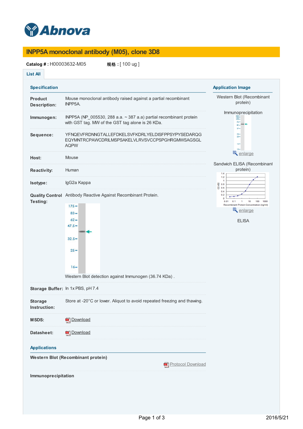 INPP5A Monoclonal Antibody (M05), Clone 3D8