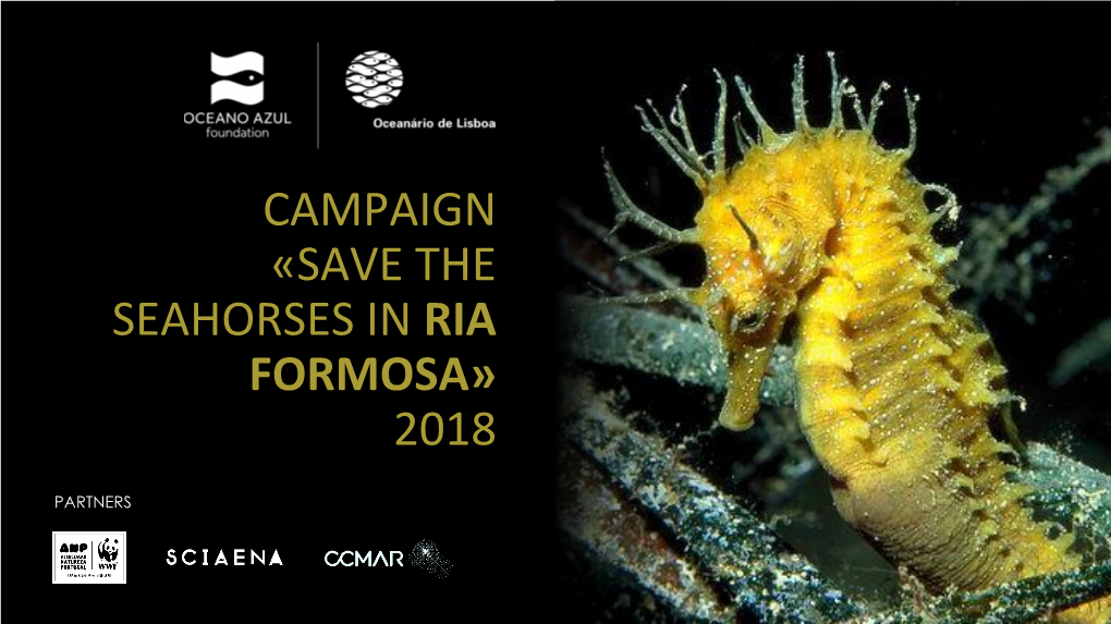Save the Seahorses in Ria Formosa» 2018