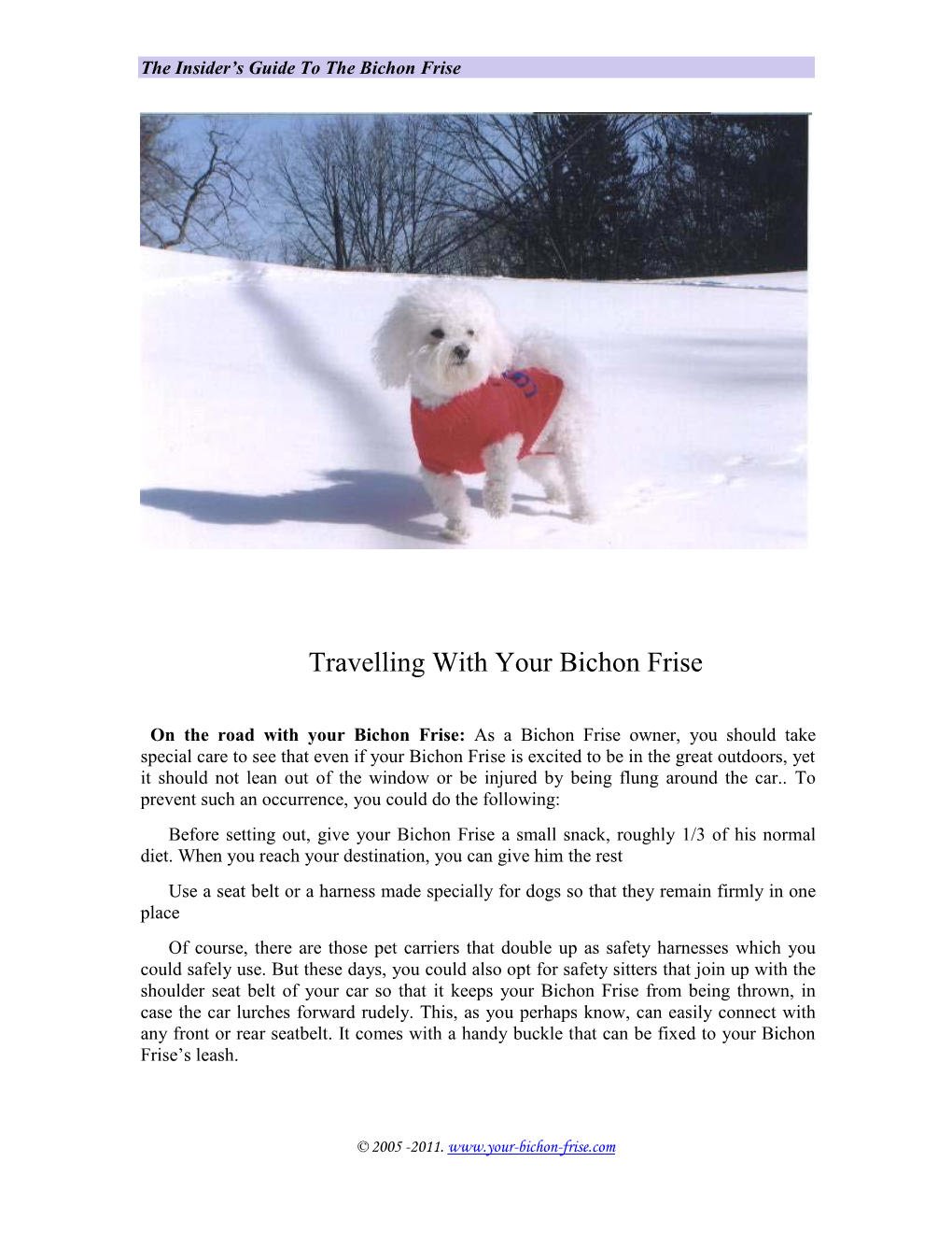 Travelling with Your Bichon Frise