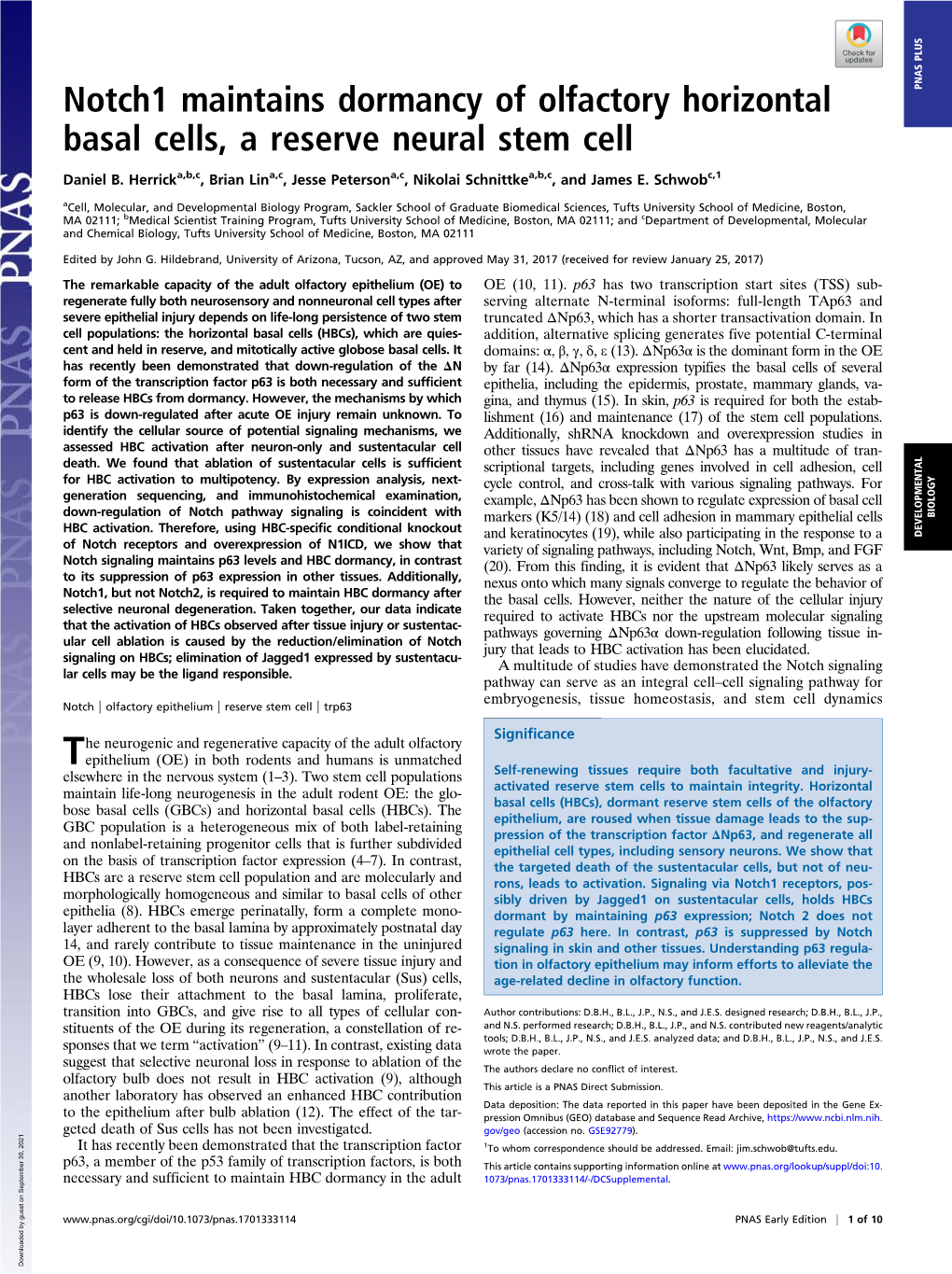 Notch1 Maintains Dormancy of Olfactory Horizontal Basal Cells, A