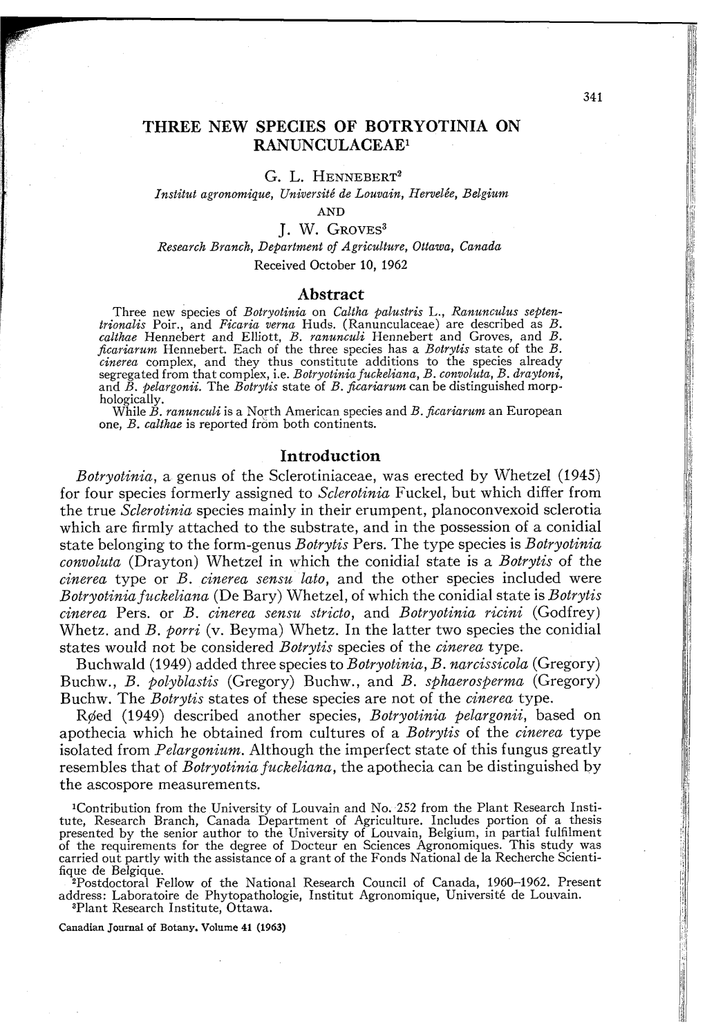 Three New Species of B Otryotinia on Ranunculaceae1